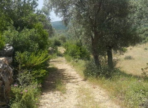 Milas Çakıralan Köyü Resimleri 3