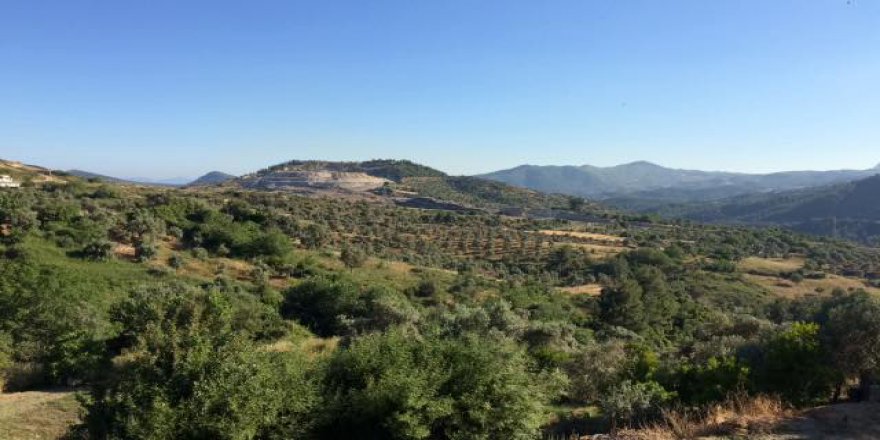 Milas Çakıralan Köyü Resimleri