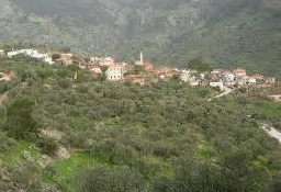 Milas Çamlıbelen Köyü Resimleri 1