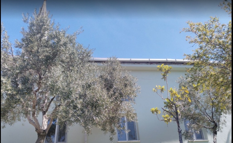 Milas Çamlıca Köyü Resimleri 6