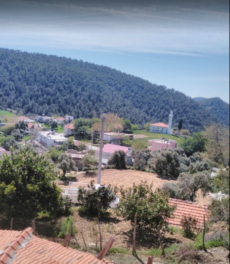 Milas Çamlıca Köyü Resimleri 7