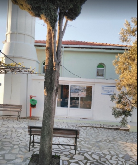 Milas Çamlıca Köyü Resimleri 8