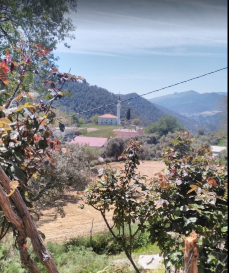 Milas Çamlıca Köyü Resimleri 9