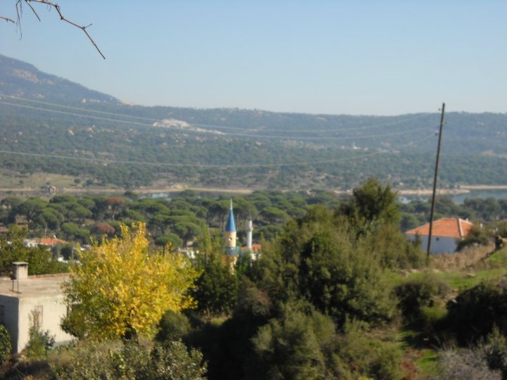 Milas Çamlıyurt Köyü Resimleri 2