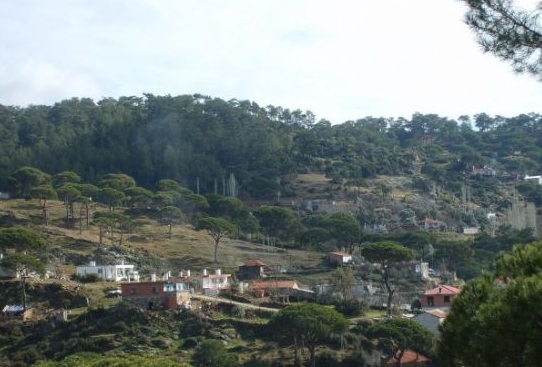 Milas Çamlıyurt Köyü Resimleri 3