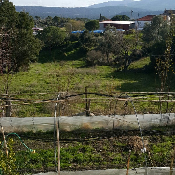 Milas Çamlıyurt Köyü Resimleri 4