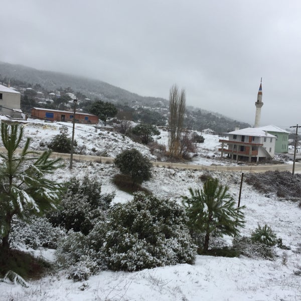 Milas Çamlıyurt Köyü Resimleri 5