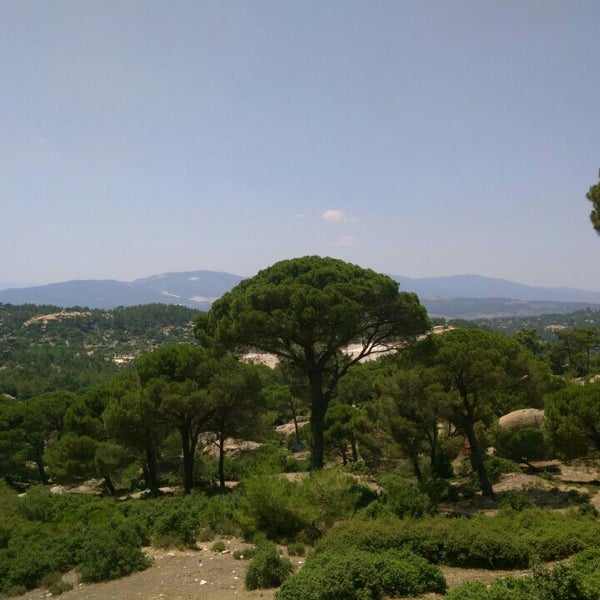 Milas Çamlıyurt Köyü Resimleri 6