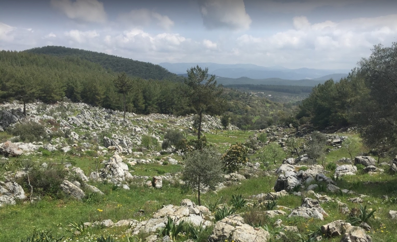 Milas Çiftlikköy Köyü Resimleri 2