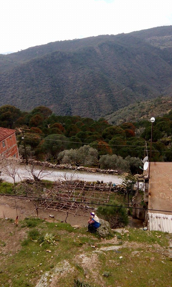 Milas Çomakdağkızılağaç Köyü Resimleri 7