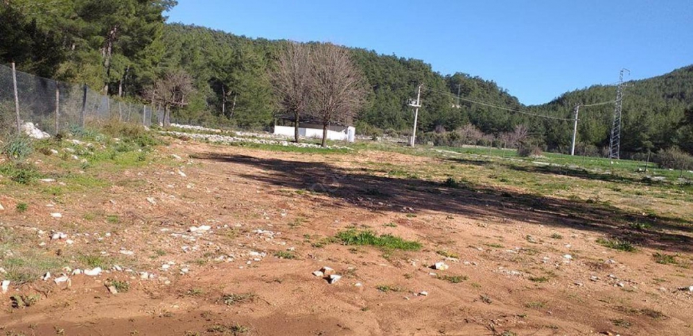 Milas Demirciler Köyü Resimleri 2