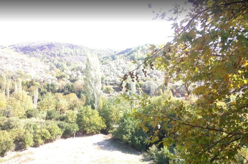 Milas Dereköy Köyü Resimleri 1