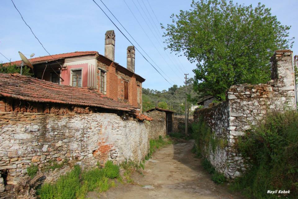 Milas Eğridere Köyü Resimleri 2