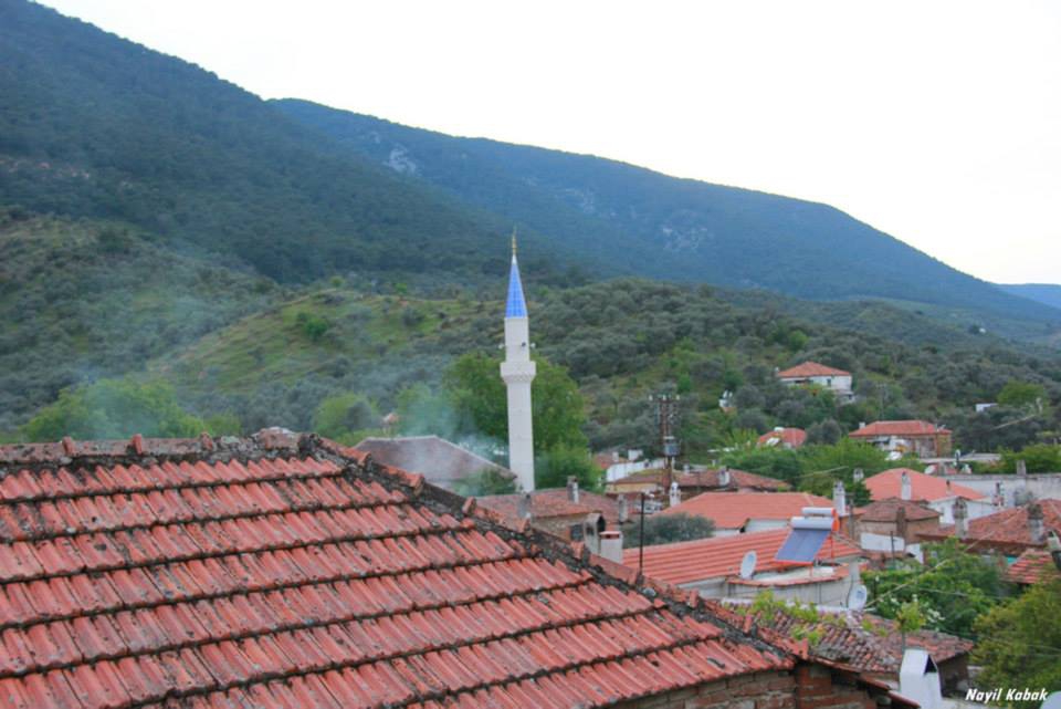 Milas Eğridere Köyü Resimleri 5
