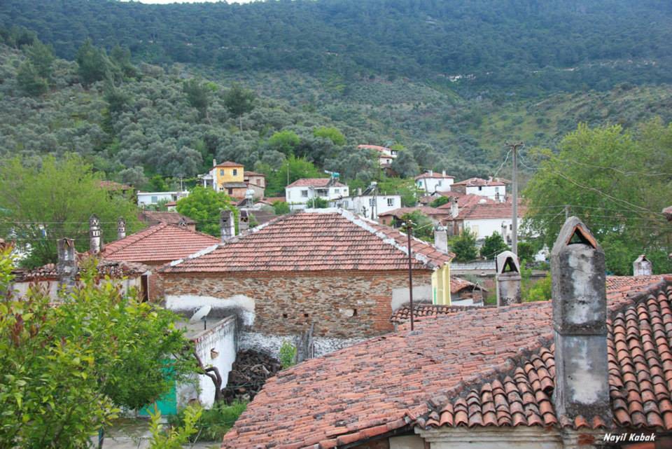 Milas Eğridere Köyü Resimleri 6