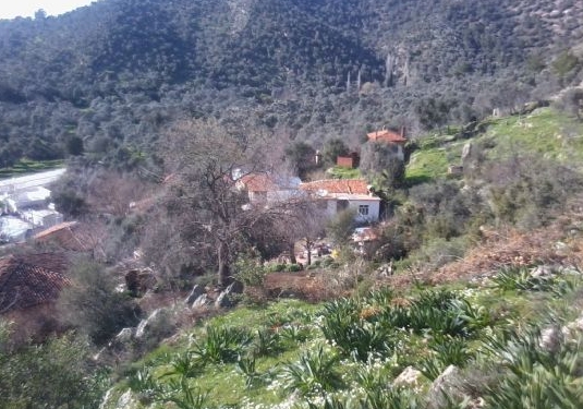 Milas Ekindere Köyü Resimleri 1