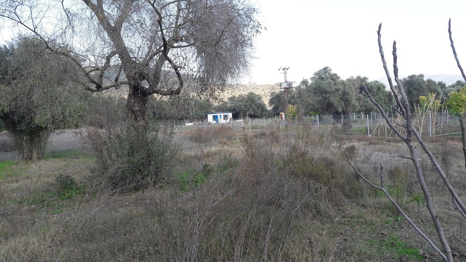 Milas Ekindere Köyü Resimleri 3