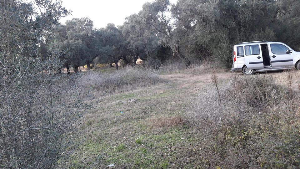 Milas Ekindere Köyü Resimleri 6