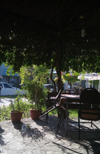 Milas Emek Köyü Resimler 1