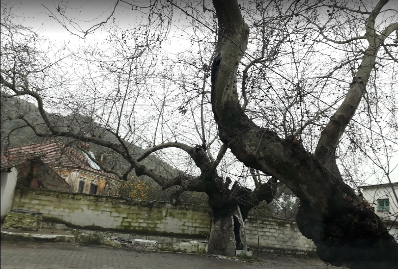 Milas Etrenli Köyü Resimleri 1