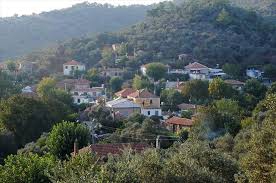 Milas Etrenli Köyü Resimleri 2