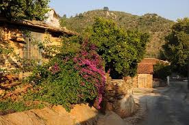 Milas Etrenli Köyü Resimleri 4