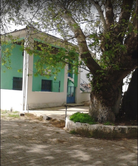 Milas Etrenli Köyü Resimleri 7