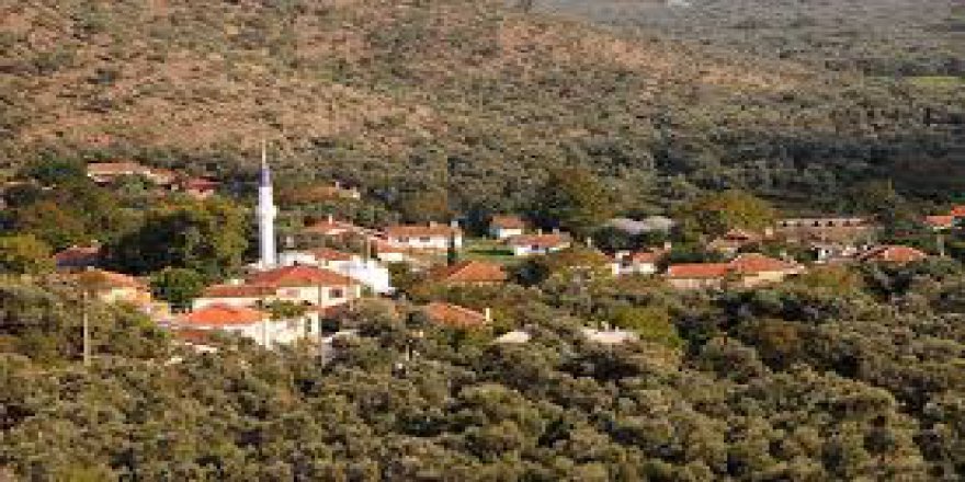 Milas Etrenli Köyü Resimleri