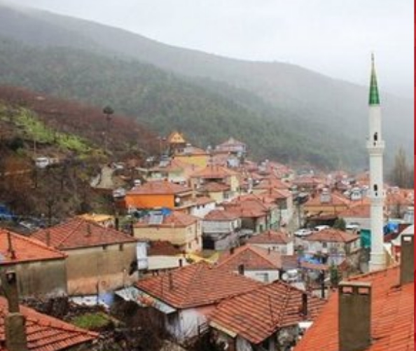 Milas Fesliğen Köyü Resimleri 3