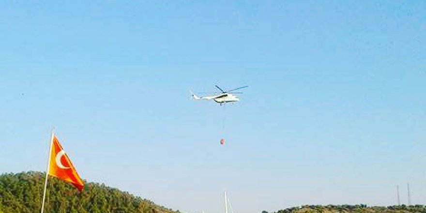 Milas Fesliğen Köyü Resimleri