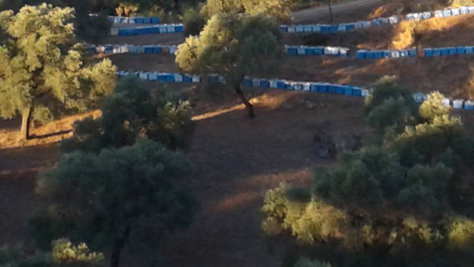 Milas Gökbel Köyü Resimleri 2