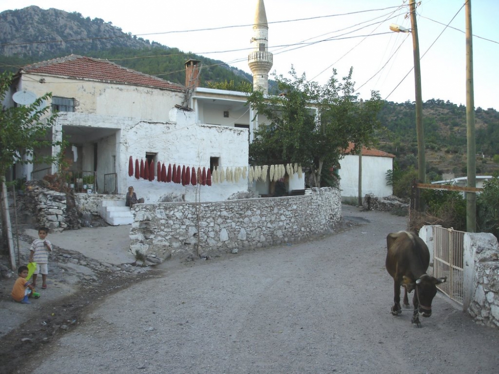 Milas Gökbel Köyü Resimleri 8