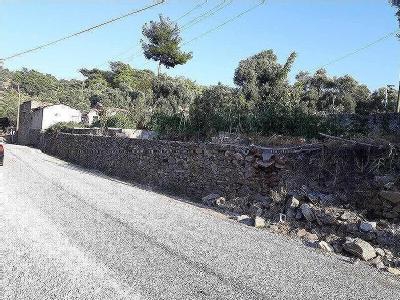 Milas Göldere Köyü Resimleri 1