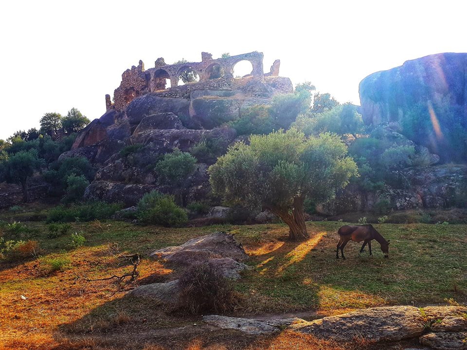 Milas Gölyaka Köyü Resimleri 6