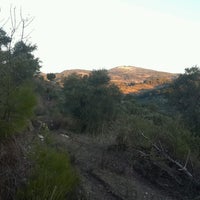 Milas Gürceğiz Köyü Resimleri 2