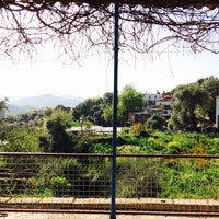 Milas Gürceğiz Köyü Resimleri 3