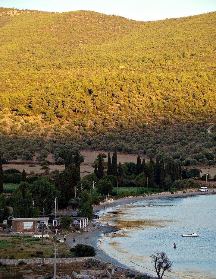 Milas Gürçamlar Köyü Resimleri 10