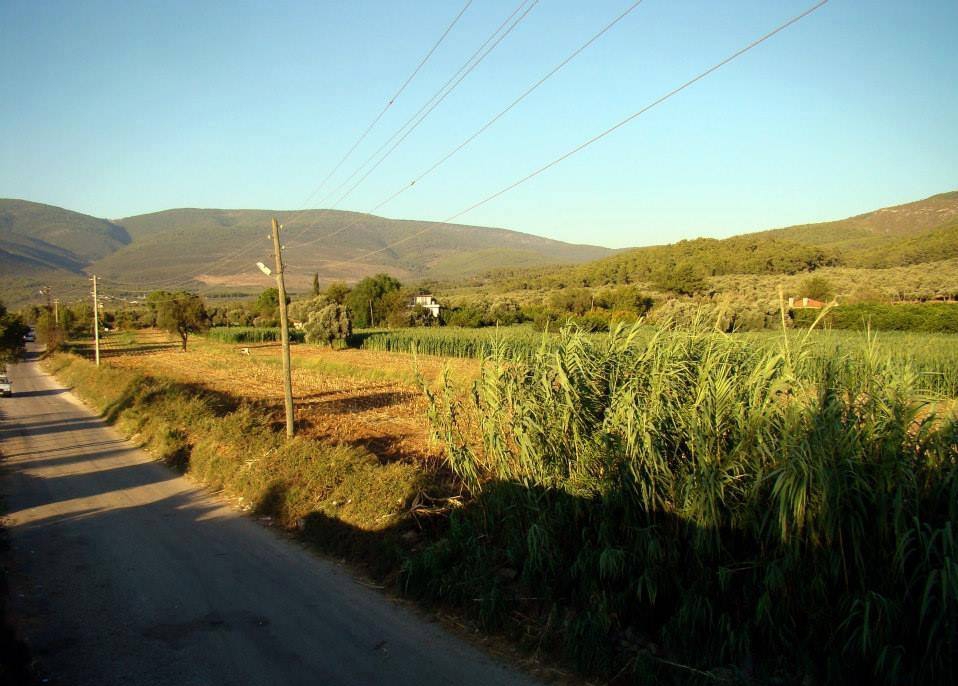 Milas Gürçamlar Köyü Resimleri 2