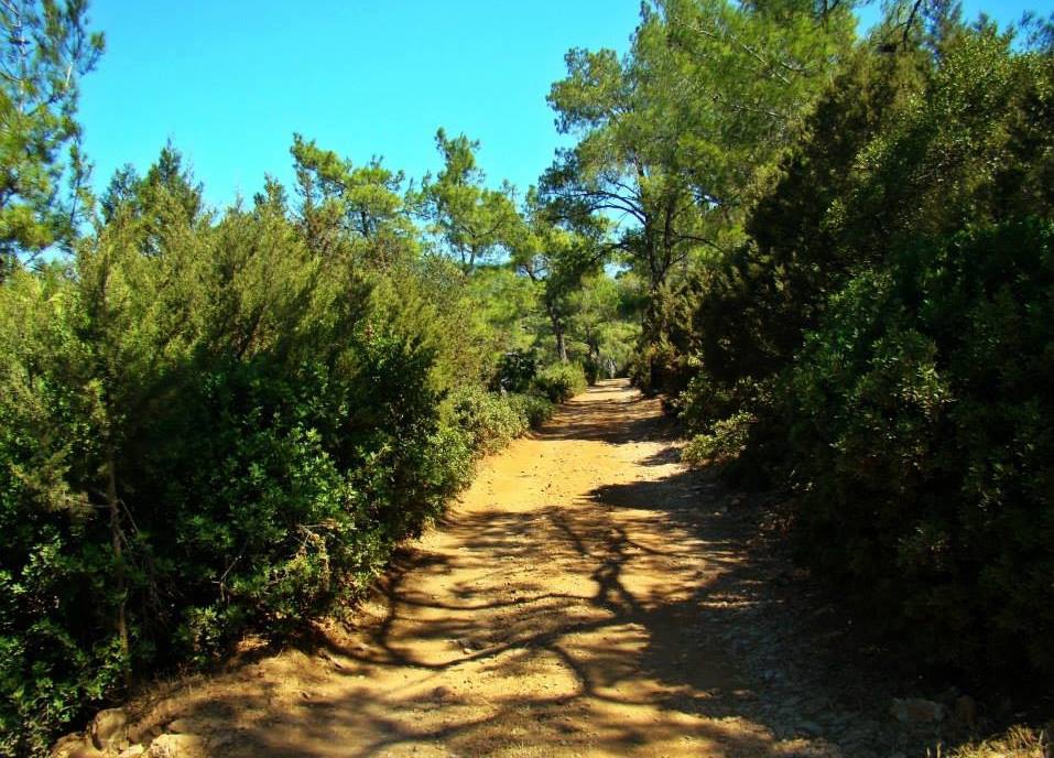 Milas Gürçamlar Köyü Resimleri 3