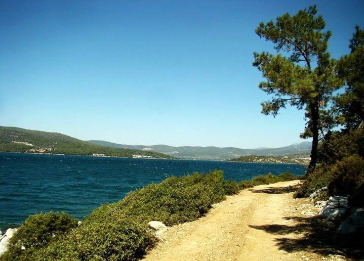 Milas Gürçamlar Köyü Resimleri 6