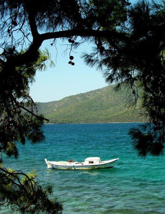 Milas Gürçamlar Köyü Resimleri 7