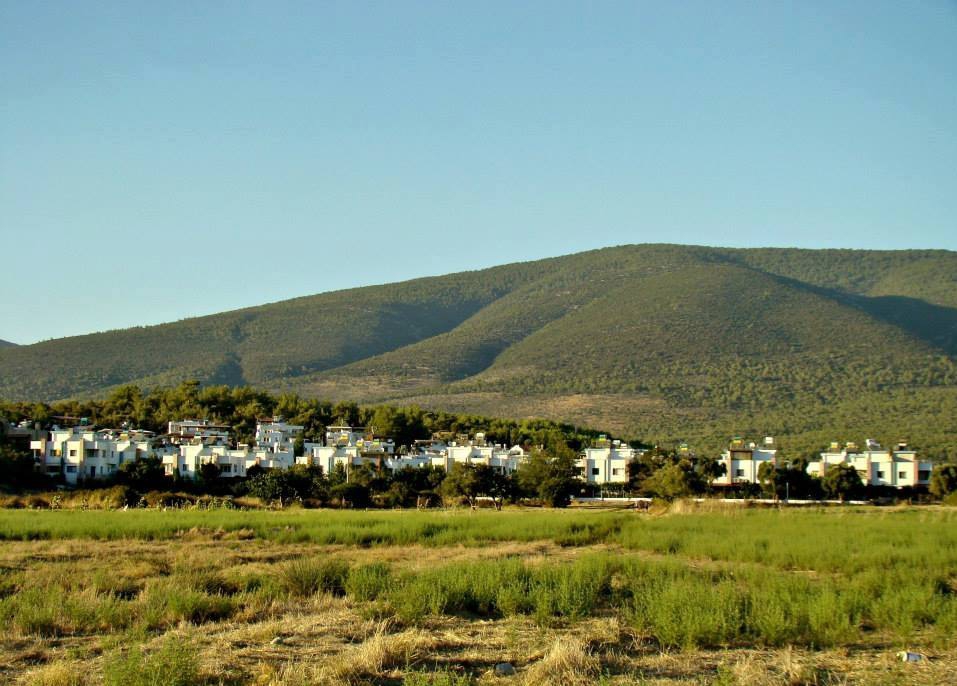 Milas Gürçamlar Köyü Resimleri 8