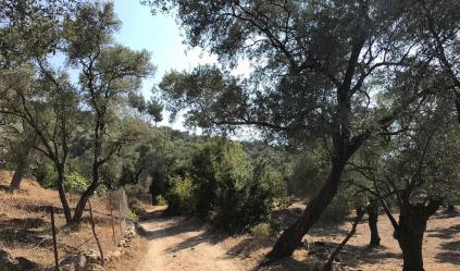 Milas Hacıahmetler Köyü Resimleri 1