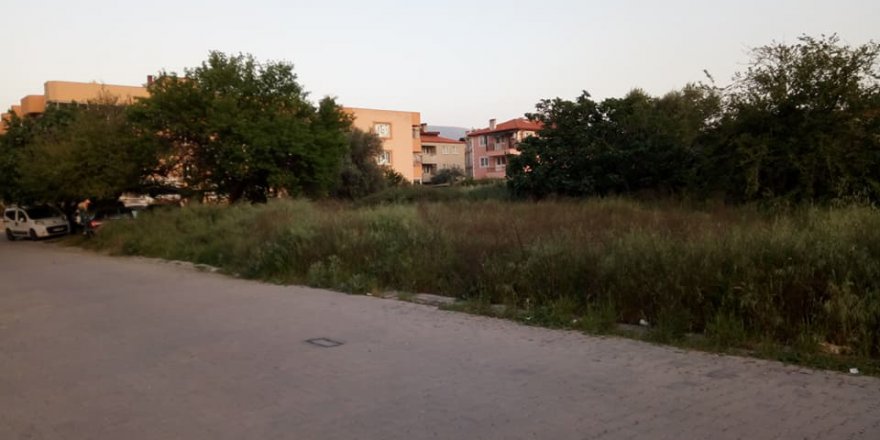 Milas Hayıtlı Ahmet Çavuş Köyü Resimleri