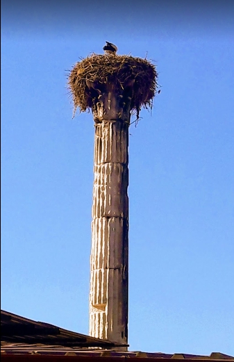 Milas Hisarbaşı Köyü Resimleri 3