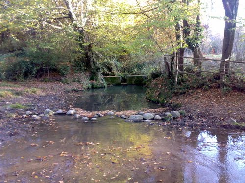 Akyazı Buğdaylı Köyü Resimleri 3