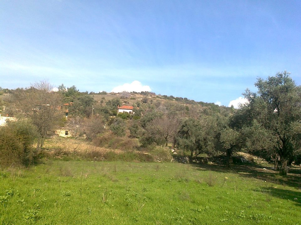 Milas Hüsamlar Köyü Resimleri 10