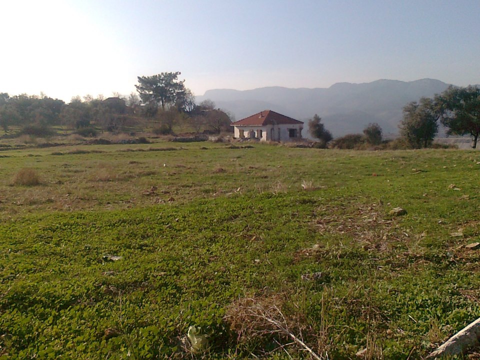 Milas Hüsamlar Köyü Resimleri 13