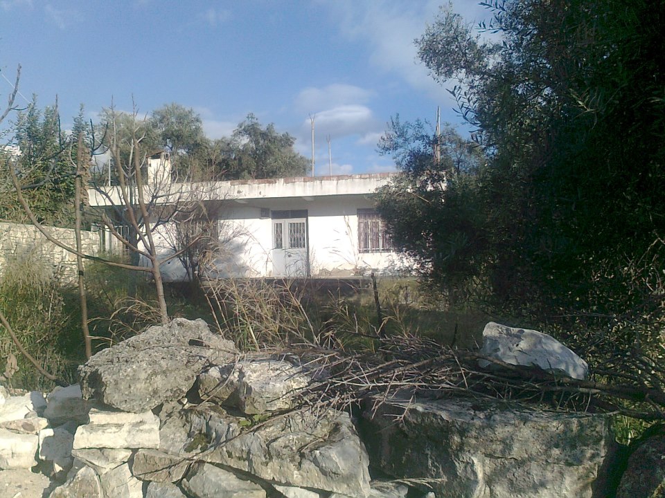 Milas Hüsamlar Köyü Resimleri 15