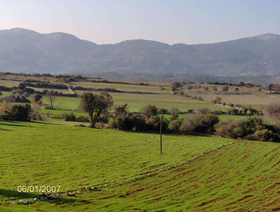 Milas Hüsamlar Köyü Resimleri 2